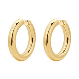Hoop Earrings And 14K Gold Pvd Coating.|Bau23