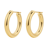 Hoop Earrings And 14K Gold Pvd Coating.|Bau25
