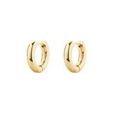 Hoop Earrings And 14K Gold Pvd Coating. | Bpc43