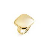 Ring With 14K Gold Pvd Coating. | Bue32D