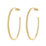 925  Sterling Silver Hoop Earrings, Gold Plating, 318 White Cubic Zirconia | Rzbi78